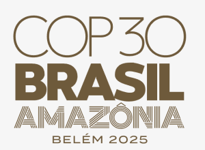 Crisi climatica e pace globale. Dichiarazione congiunta in vista della COP30 